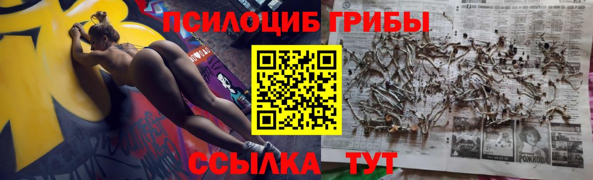 Псилоцибиновые грибы Magic Shrooms Киселёвск